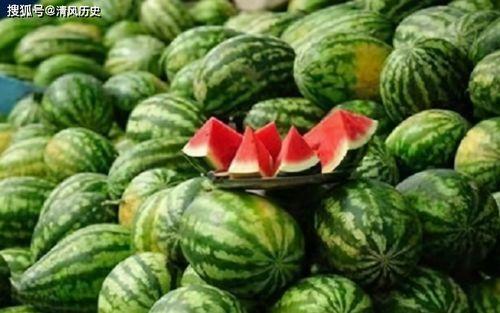 瓜瓜基地 52吃瓜爆料免费吃瓜视频,免费吃瓜视频大放送！